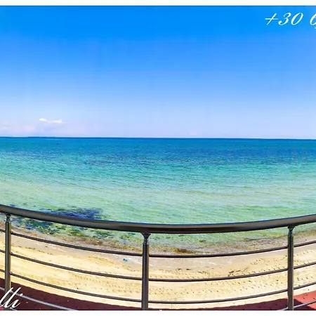 Korali View *
