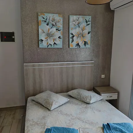 Korali View *