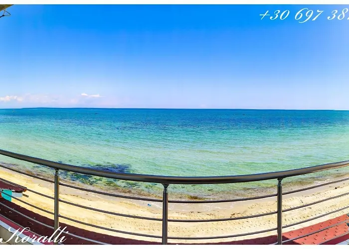 Korali View *